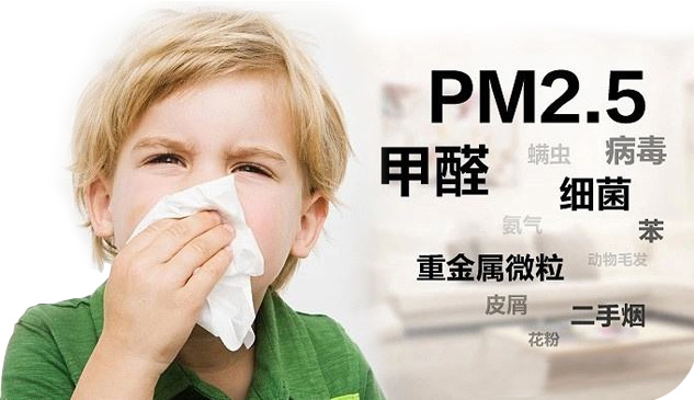 綠奇環保科技