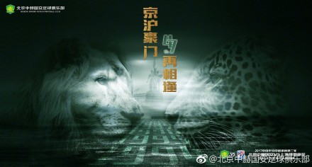 美女又黄又免费