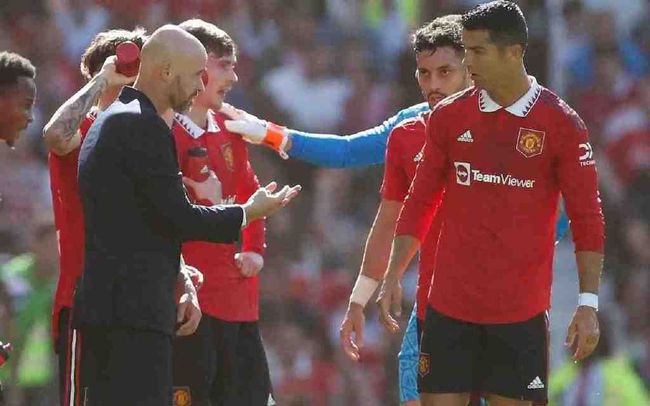 粉色视频免费入口