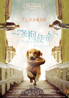 国产视频精品免费
