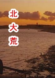 欧美中出