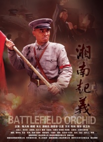 91短视频免费在线观看
