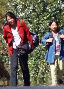 伊人五月