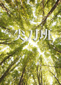 午夜视频在线