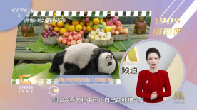 七次郎在线视频观看