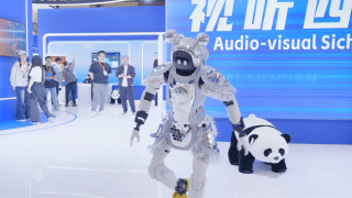 精品亚洲欧美日韩